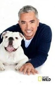 Cesar Millan s buldokem