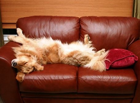 Takhle by to být nemělo.